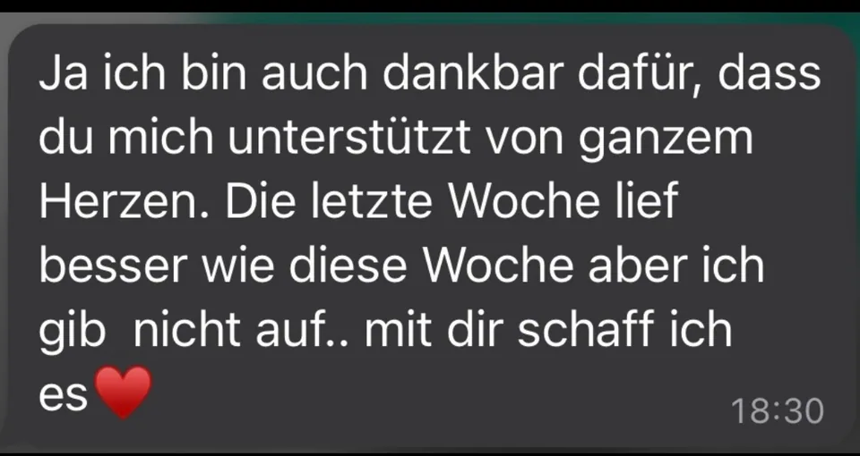 WhatsApp-Nachricht einer Kundin über Fortschritt und Plan-Anpassungen